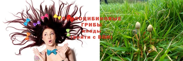 а пвп мука Алзамай
