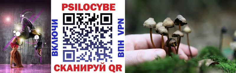мега сайт Ессентукская Псилоцибиновые грибы MAGIC MUSHROOMS купить