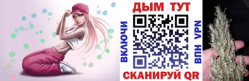 Марихуана план  Ессентукская 